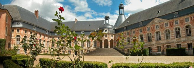 40-chateau-de-saint-fargeau