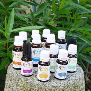 34cee524664d10d9c004d3cad3cfbd60