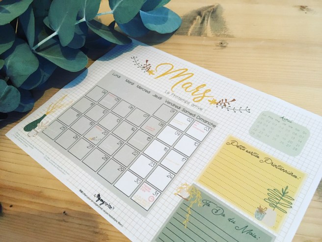 2CD08919-ABD8-4B1D-B591-7E5DFE4E15FE