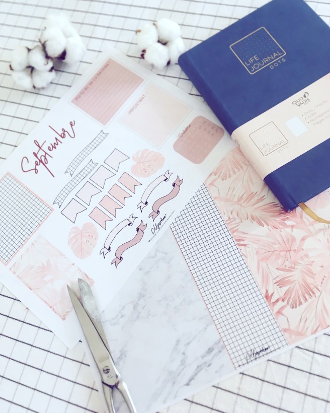 CDD5D289-FB3C-4961-BA6B-AA9B27BD3A2A